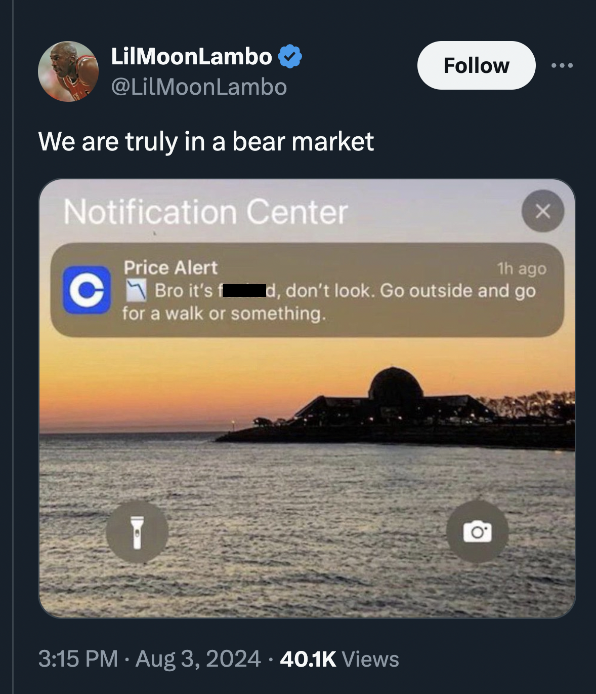 screenshot - LilMoonLambo We are truly in a bear market Notification Center X 1h ago d, don't look. Go outside and go Price Alert Bro it's for a walk or something. Views